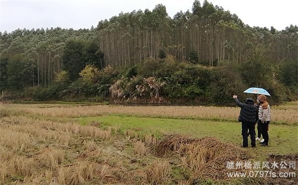 河北陈老师带着爱徒寻龙点穴